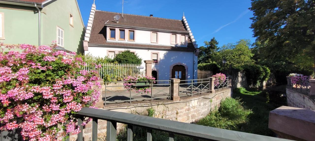 Appartement Le Cocon Du Rimbach à Soultz-Haut-Rhin Extérieur photo