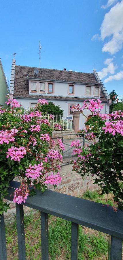 Appartement Le Cocon Du Rimbach à Soultz-Haut-Rhin Extérieur photo